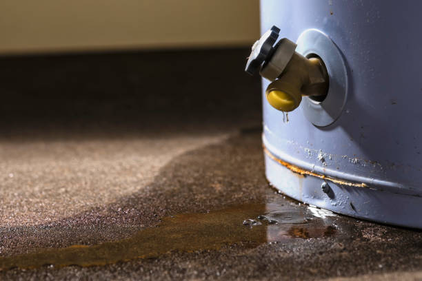 Best Commercial water damage restoration  in Breckenridge, CO