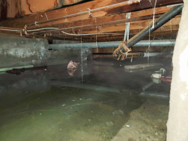 Sewage cleanup and water damage restoration in Breckenridge, CO