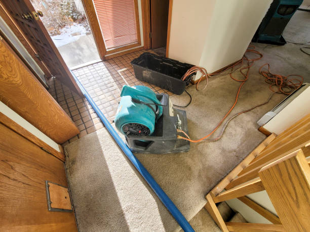 Best Commercial water damage restoration  in Breckenridge, CO